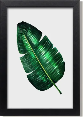 Produktbild von Bild 20x30 MDF-Rahmen, Wandkunst Bananenblatt
