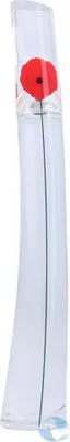 A clear product shot of a perfume bottle.