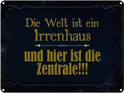 Produktbild von vianmo Blechschild 30x40 cm Welt ist ein Irrenhaus und Spruch Zitat