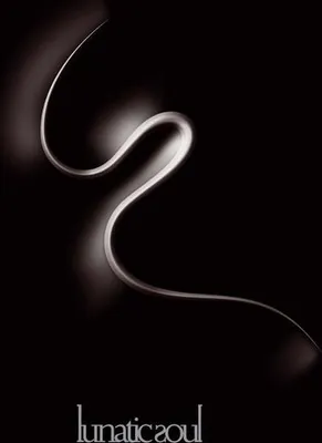 Image de Lunatic Soul - Lunatic Soul - - (LP / L)