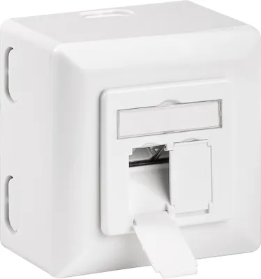 Produktbild von CAT-6A-Universaldose inkl. Aufputzmontage-Rahmen, Signalweiß RAL 9003 2x RJ45-Anschlüsse, geschirmt, Klemmleiste für werkzeugfreie LSA-Montage