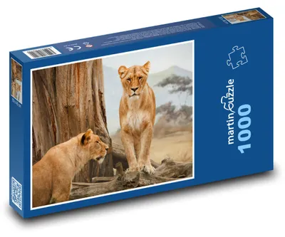 Obrázok produktu pre Puzzle 1000 Levice v africkej divočine - martinpuzzle
