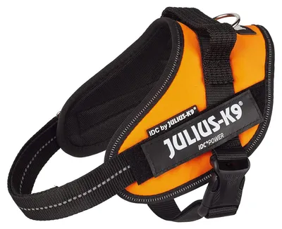 Produktbild von Julius-K9 IDC Powergeschirr UV neon-orange, Größe: S/Mini