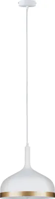 Image de Paulmann Lampe suspendue Neordic Embla 1-flamme