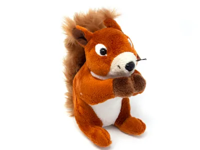 A plush toy squirrel is shown against a white background.