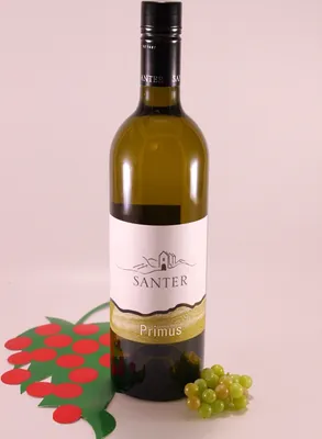 Produktbild von Solaris Primus - 2024 - Weingut Santerhof - Wilhelm Gasser