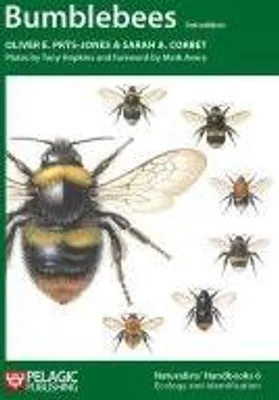 Produktbild von Bumblebees