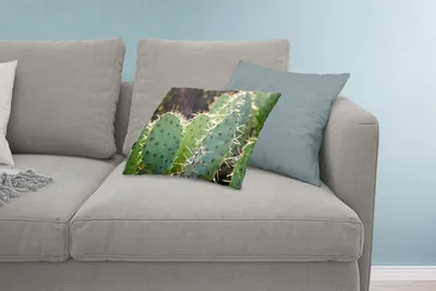Produktbild von MuchoWow® Zierkissen Sofakissen Wohnzimmer Dekokissen 60x40 cm Botanischer Kaktus Fotodruck - Kopfkissen - Polster mit Foto