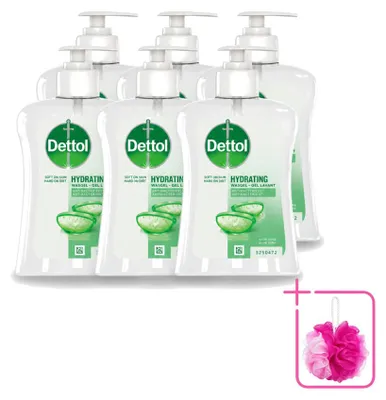 Productafbeelding van 6 x Dettol antibacteriële handzeep - Aloë Vera - 250 ml - Voordeelpakket - 6 stuks