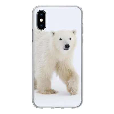 Produktbild von MuchoWow® Handyhülle Schutzhülle Hülle für iPhone X Eisbär - Schnee - Weiß Silikon Softcase Handy Hülle - Handyhülle