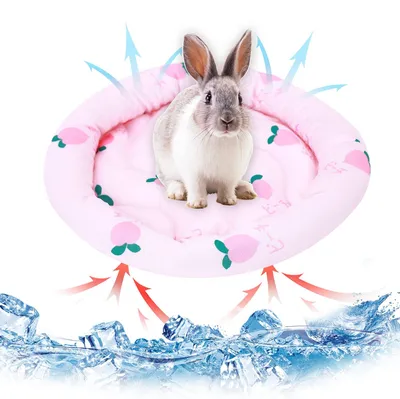 Produktbild von Kühlmatten für Kleintiere im Sommer