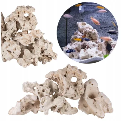 Immagine prodotto di Rocce per acquario Wapień Filippino, pietre decorative naturali per acquario Tanganika e Malawi, 10 kg