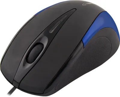 Obrázok produktu pre Esperanza EM102B, Optický, USB Typ-A, 800 DPI, Čierna, Modrá