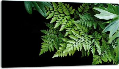 Produktbild von Glasschneidebrett Herdabdeckplatte Glaskeramikkochfeld Universal 52x30 cm Küche