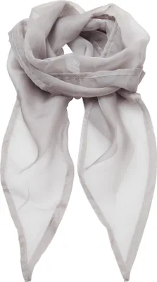Image de Premier Foulard / écharpe en mousseline de soie pour femme RW2828 (taille unique) (Argenté)