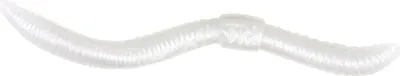 Image de Spro Dendrobaena Pearl rubber worm (ver de caoutchouc)