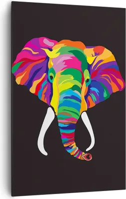 Produktbild von Bild auf Leinwand - Leinwandbild - Einteilig - Elefant spaß bunt tier - 80x120cm - Wand Bild - Wanddeko - Wandbilder - Leinwanddruck - Wanddekoration - Leinwand bilder - Wandbild - PA80x120-2928