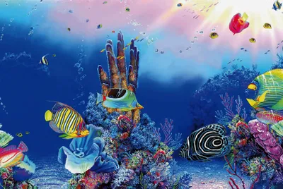 Productafbeelding van SuperFish Deco Poster F 60x30CM