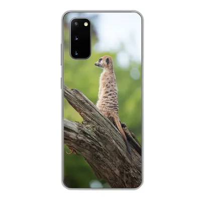 Produktbild von MuchoWow® Handyhülle Schutzhülle Hülle für Samsung Galaxy S20 Erdmännchen - Ast - Baum Silikon Softcase Handy Hülle - Bild