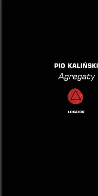 Immagine prodotto di Album Agregaty - Linoryty Witolda Wirpszy w limitowanej edycji