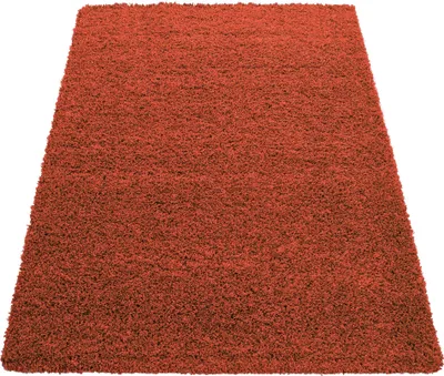 Produktbild von Carpetsale24 Hochflor Teppich Uni Einfarbig Modern Shaggy Teppich Wohnzimmer Flauschig Weich Preishammer, Grösse: 60x110 cm