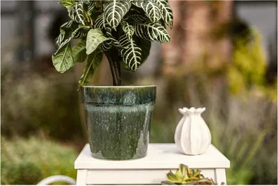 Produktbild von Wikholm form Design Pflanzgefäß / Blumentopf Terrakotta 2er Set ⌀ 15,5 x H:15 cm & 19 x H: 18 cm