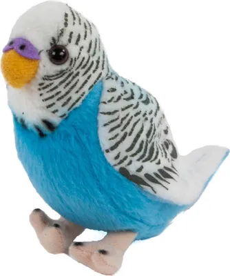 Produktbild von Kuscheltier Wellensittich blau 12 cm