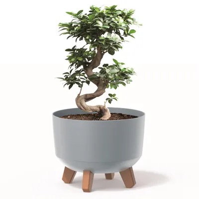 Produktbild von Blumentopf mit Füßen Pflanzkübel D 29 cm Kunststoff Grau Töpfe mit Einsatz matt Übertöpfe Geldbaum Kakteen Gummibaum Glücksfeder
