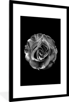 Produktbild von MuchoWow® Gerahmtes Poster Blumen - Rose - Schwarz - Weiß - Botanisch 60x90 cm - Poster mit Schwarzem Bilderrahmen Wandposter Rahmen Foto Bilder - Dekoration - Wandposter Wohnzimmer - Hochwertig