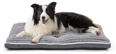Produktbild von Omgoods – Große, waschbare Hundebett, 97 x 70 cm, mit rutschfester Unterseite