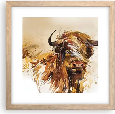 Produktbild von Gerahmtes Poster - Rahmen in heller Eiche - Stier Scotch Aquarell - 30x30 cm - Wand Bild - Wanddeko - Wandbilder - Kunstposter - Wandposter - Bilderrahmen - Bilder - Kunstdruck - P2NAC30x30-4708