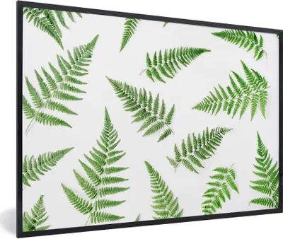 Produktbild von MuchoWow® Gerahmtes Poster Tropisch - Farn - Grün 30x20 cm - Poster mit Schwarzem Bilderrahmen Wandposter Rahmen Foto Bilder - Kunstdruck - Bild-Poster