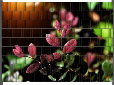Produktbild von Wallario Zaunsichtschutz mit Motiv Rote und grüne Blätter an einem Zweig für Ein- und Doppelstabmatten Zäune in der Größe 250 x 180 cm