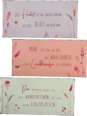 Produktbild von Dekoschild Kornelia 40x20cm 3fach sortiert