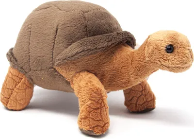 A plush toy tortoise on a white background.