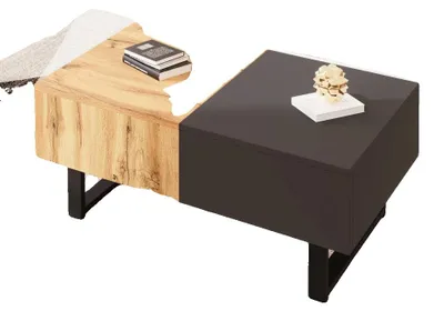 Image de Table basse, design moderne, espace de rangement dissimulé, naturel