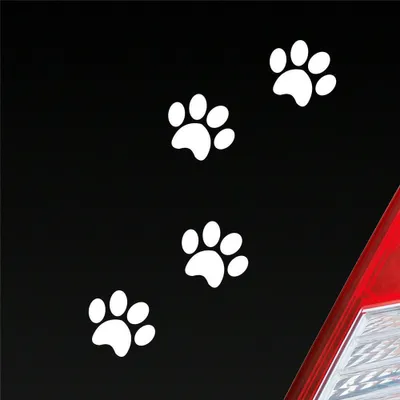 Produktbild von Auto Aufkleber Pfoten Paws Dog Hund Haustier Tier Pfote Paw 8x10 cm Weiss Matt Sticker Heckscheibenaufkleber