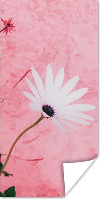 Produktbild von MuchoWow® Poster Blumen - Rosa - Vintage 60x120 cm - Wandschmuck