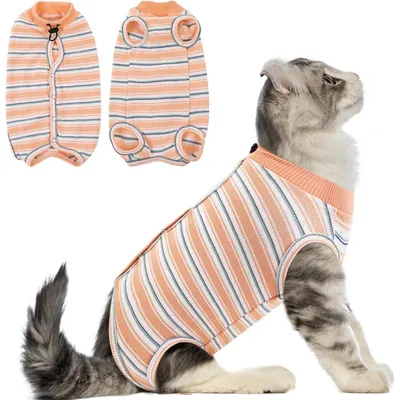 Produktbild von Katzenbody nach OP für Bauchwunden, Erholungsanzug, E-Halsband Alternative, Orange, L