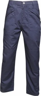Obrázek produktu pro Regatta Professional - Pánské kalhoty RG3748 (W32) (šedomodrá)
