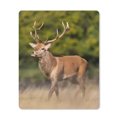 Produktbild von MuchoWow® Mauspad Mousepad Tiere - Hirsche - Geweihe - Waldtiere - Natur 19x23 cm - Mousepads - Maus Mat - Pad - Mausunterlage - Mauspads - Spielen