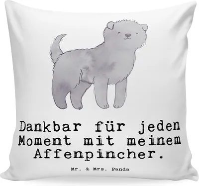 Produktbild von Mr. & Mrs. Panda Sofakissen Affenpincher Moment - Weiß - Geschenk, kuschelkissen 40x40, Polster, kissen bedruckt, Couchkissen, Dekokissen