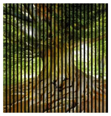 Produktbild von Akustikpaneele mit Digitaldruck Baum01 19 x 1133 x 1195 mm Baum MDF PET-Fasern Wandpaneele Grün Braun 2 Einzelplatten