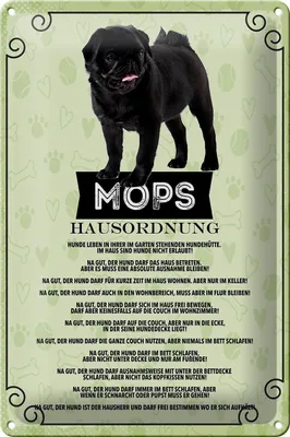 Produktbild von Blechschild Spruch 20x30cm Mops Hausordnung
