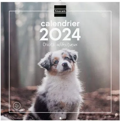 Produktbild von Wandkalender 30 x 30 cm bis 2024 Januar 2024 - Dezember 2024 (12 Monate) Französisch Welpen