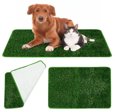 Produktbild von Wiederverwendbare Hundetoilette aus Kunstgras