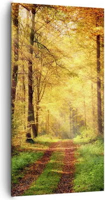 Produktbild von Bild auf Leinwand - Leinwandbild - Wald Baum Natur - 65x120cm - Wand Bild - Wanddeko - Wandbilder - Leinwanddruck - Bilder - Kunstdruck - Wanddekoration - Leinwand bilder - Wandkunst - PA65x120-3718