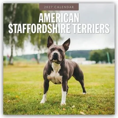 Zdjęcie produktu dla Amerykańskie Staffordshire Terrier – Kalendarz na rok 2027 (format 16-miesięczny)