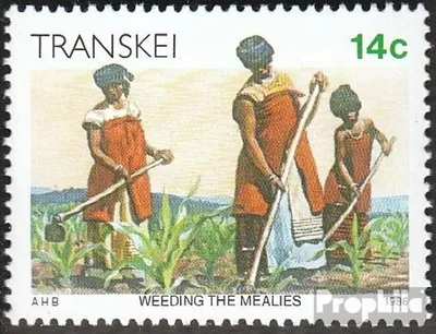 Produktbild von Briefmarken Südafrika - Transkei 1986 Mi 184 (kompl.Ausg.) postfrisch Freimarke