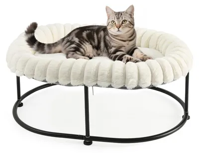 Erhöhtes Katzenbett mit Plüschbezug 58,5x43x21 cm